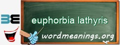 WordMeaning blackboard for euphorbia lathyris